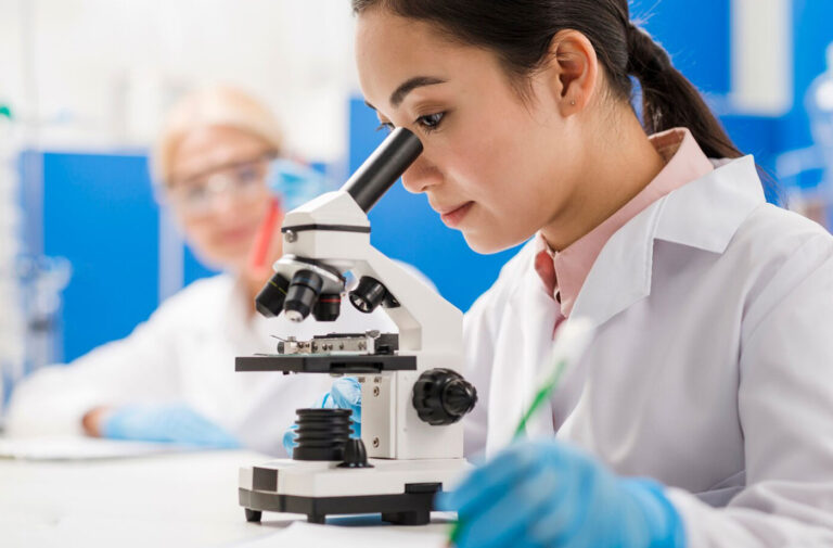 WordPressでブログを作成するためのステップバイステップガイド