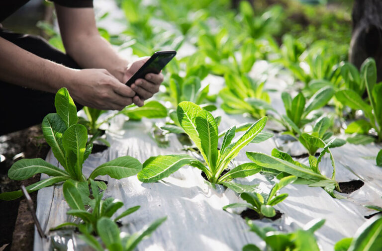 ソーシャルメディアカレンダーを作成してコンテンツを計画する方法