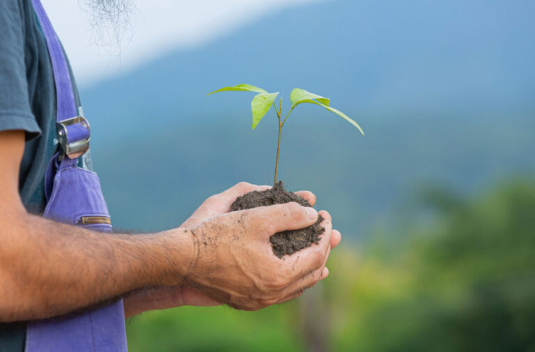 今年、完璧なマーケティング戦略を策定するための7つのステップ